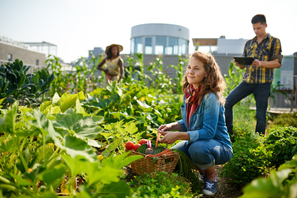 Navigating the Future of Farming: How Agribusiness Consultancy Services Can Transform Your Agricultural Venture