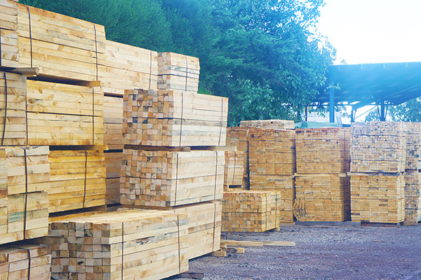 How Smart Truck Dunnage is Revolutionising Mail and Courier Delivery Operations